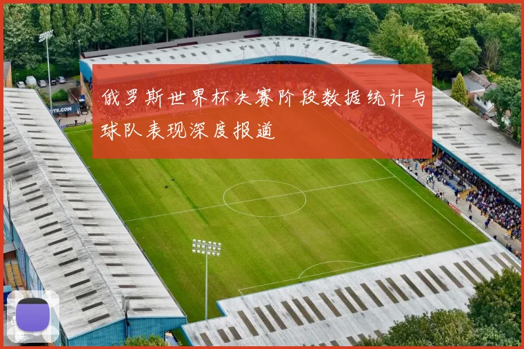 俄罗斯世界杯决赛阶段数据统计与球队表现深度报道