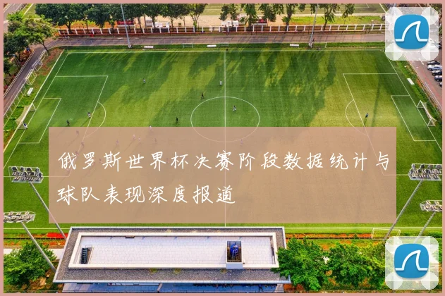 俄罗斯世界杯决赛阶段数据统计与球队表现深度报道